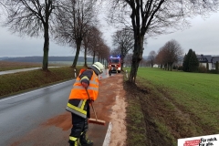IMG-20190112-WA0003
