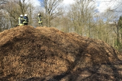IMG_2490_Bildgröße ändern