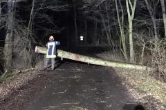 IMG-20200210-WA0000