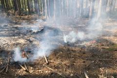 IMG-20200417-WA0001