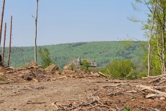 20200424_145737