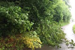 IMG-20200615-WA0000