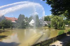 IMG-20200626-WA0003