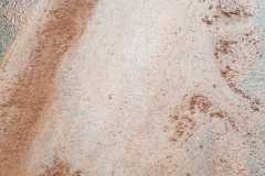 IMG-20200909-WA0001