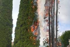 IMG-20201104-WA0002