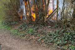 IMG-20210415-WA0003