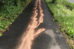 IMG-20210705-WA0006
