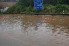 IMG-20210716-WA0008