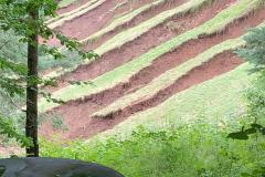 IMG-20210716-WA0025