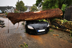 IMG-20210716-WA0028