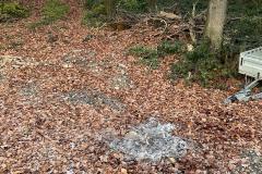 IMG-20211210-WA0001