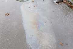 IMG-20211119-WA0008