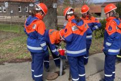 IMG-20220409-WA0008