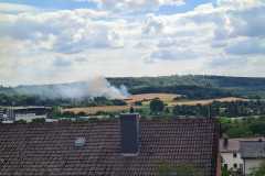 IMG-20220705-WA0005
