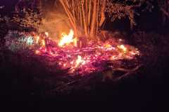 IMG-20220714-WA0004