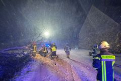 IMG-20230310-WA0009