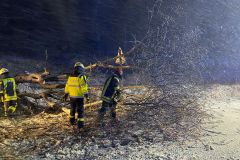 IMG-20230310-WA0012