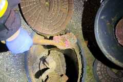 IMG-20231113-WA0008