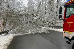 IMG-20231129-WA0005