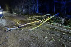 IMG-20231222-WA0009