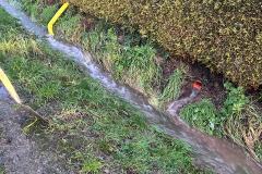 IMG-20231226-WA0002