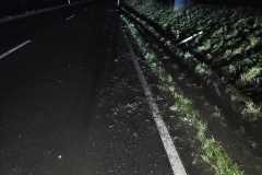 IMG-20240102-WA0001