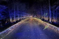 1_IMG-20241128-WA0004