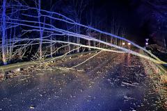 IMG-20241128-WA0000