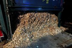 IMG-20241223-WA0020