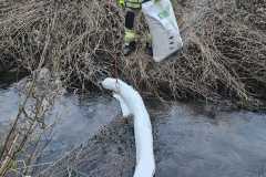 IMG-20250228-WA0000
