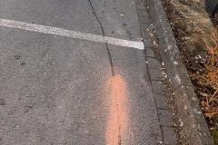 IMG-20250305-WA0003