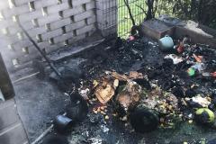 IMG-20250316-WA0007