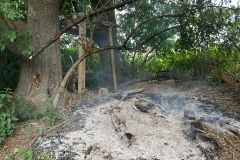 IMG-20250706-WA0015