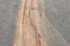IMG-20251113-WA0008