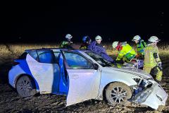 20260212_002806000_iOS-1